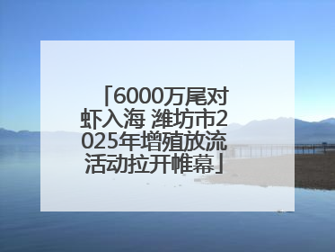 6000万尾对虾入海 潍坊市2025年增殖放流活动拉开帷幕