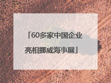 60多家中国企业亮相挪威海事展