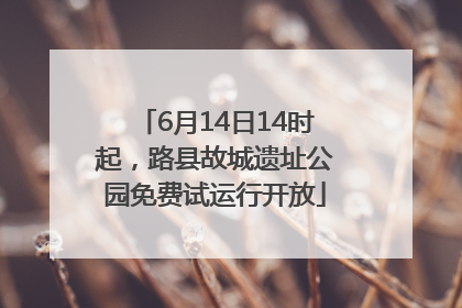 6月14日14时起，路县故城遗址公园免费试运行开放