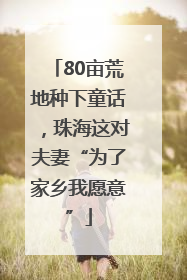 80亩荒地种下童话，珠海这对夫妻“为了家乡我愿意”