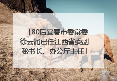 80后宜春市委常委徐云涌已任江西省委副秘书长、办公厅主任