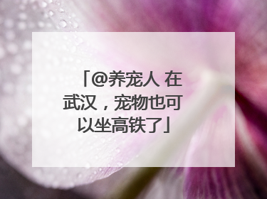 @养宠人 在武汉，宠物也可以坐高铁了