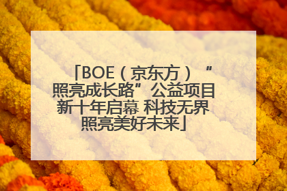 BOE（京东方）“照亮成长路”公益项目新十年启幕 科技无界照亮美好未来