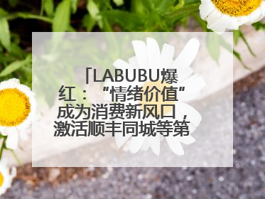 LABUBU爆红：“情绪价值”成为消费新风口，激活顺丰同城等第三方即配