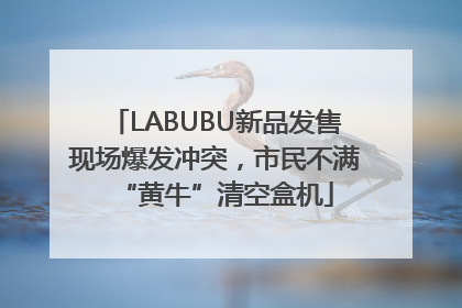LABUBU新品发售现场爆发冲突，市民不满“黄牛”清空盒机